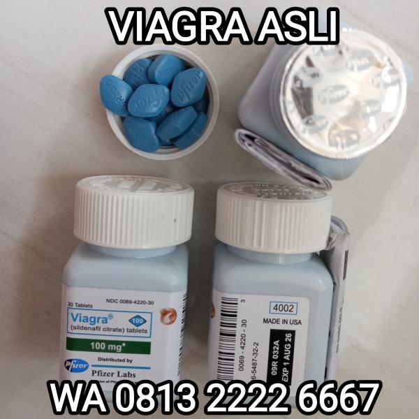 jual-obat-viagra-di-jakarta-selatan-cod-wa-081322226667-toko-obat-kuat-viagra-di-jakarta-selatan